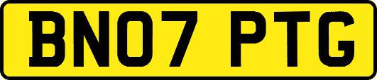 BN07PTG