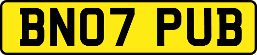 BN07PUB