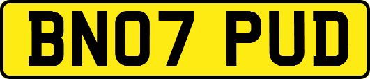 BN07PUD