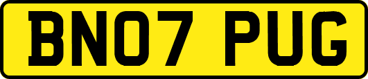 BN07PUG