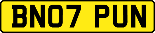 BN07PUN