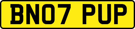 BN07PUP