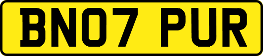 BN07PUR