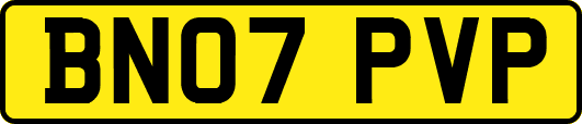 BN07PVP