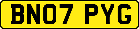 BN07PYG