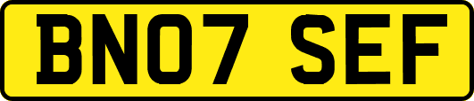 BN07SEF