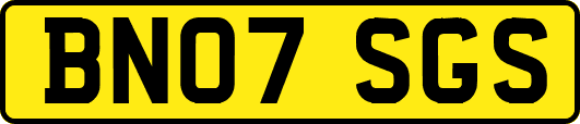 BN07SGS