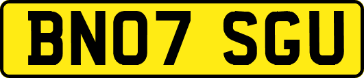 BN07SGU