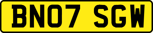 BN07SGW