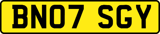 BN07SGY