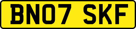 BN07SKF