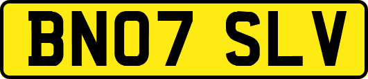 BN07SLV