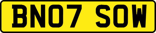 BN07SOW