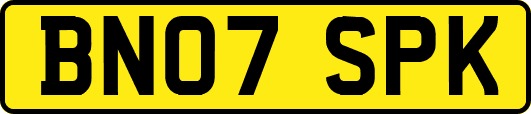 BN07SPK