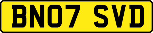 BN07SVD