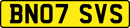 BN07SVS
