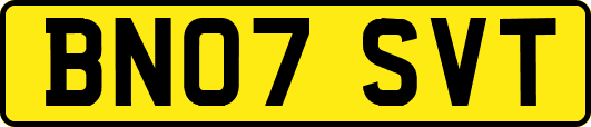 BN07SVT