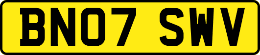BN07SWV