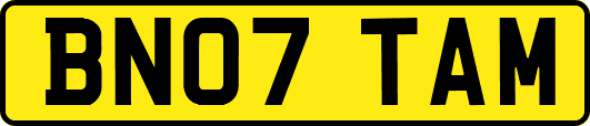 BN07TAM