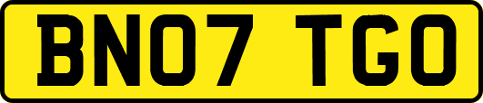 BN07TGO