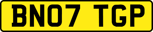 BN07TGP