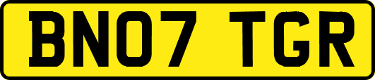 BN07TGR