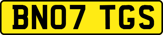 BN07TGS