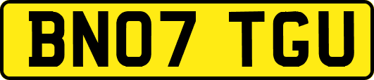 BN07TGU