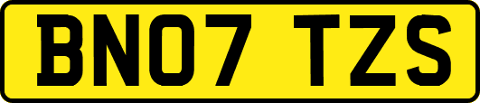 BN07TZS