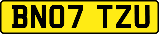 BN07TZU