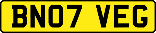 BN07VEG