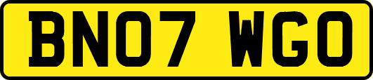BN07WGO