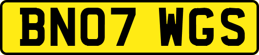 BN07WGS