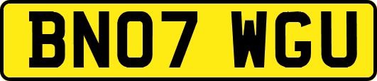 BN07WGU