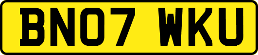 BN07WKU