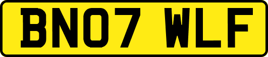 BN07WLF