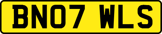 BN07WLS