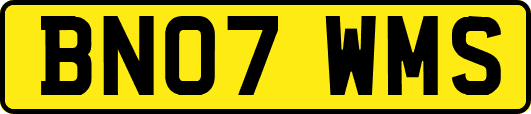 BN07WMS