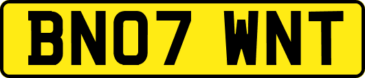 BN07WNT