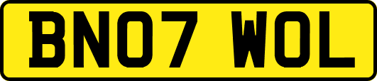 BN07WOL