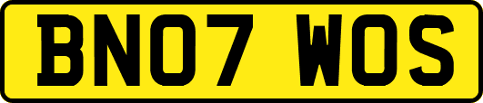 BN07WOS