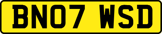 BN07WSD