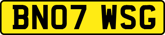 BN07WSG
