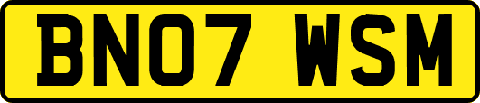 BN07WSM