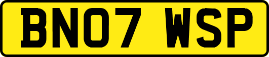 BN07WSP