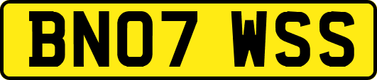 BN07WSS