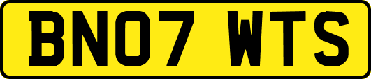 BN07WTS