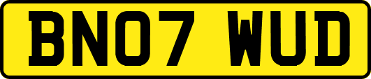 BN07WUD