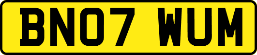 BN07WUM