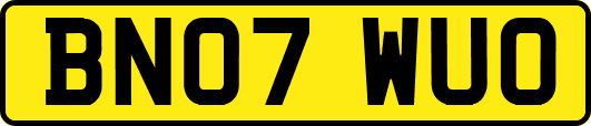 BN07WUO
